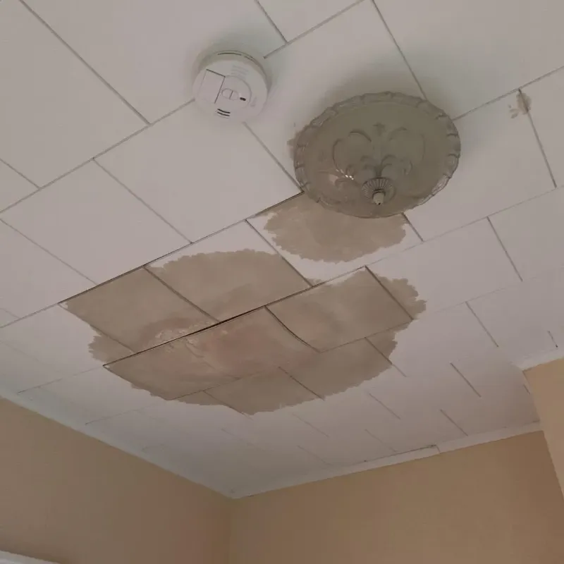 Ceiling Water Damage Repair in Clinton County, IN