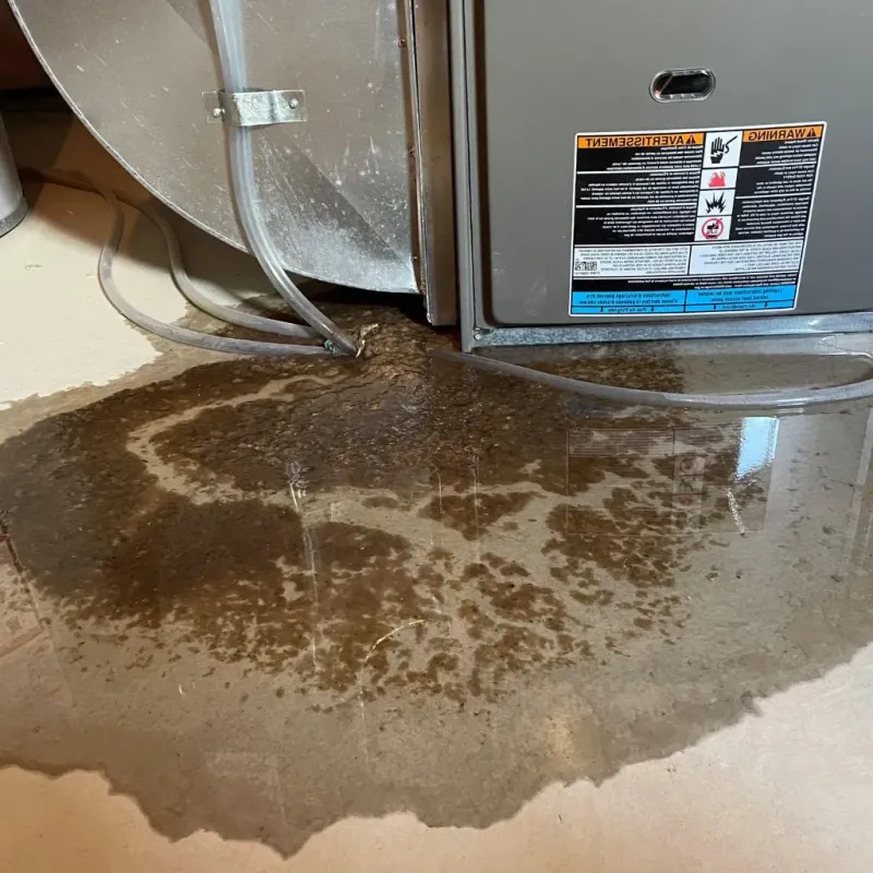 Pipe Burst and Leak Restoration in Clinton County, IN