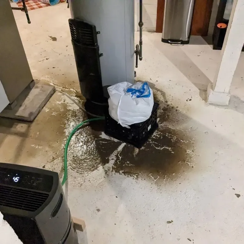 Sewage Backup Cleanup Service in Clinton County, IN